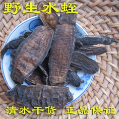 野生清水纯干货水蛭 蚂蟥100g