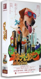 正版电视剧 神犬小七 13DVD 珍藏版 郭碧婷 金世佳