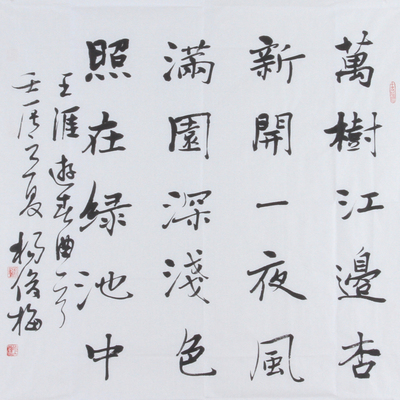 女书法家 杨俊梅 楷书 王涯 《春游曲》 中书协会员