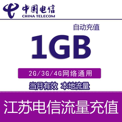 江苏电信流量充值1GB 国内流量 234g网络通用