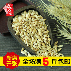 农家自种带壳大麦 谷物大麦 发芽大麦带壳麦子麦粒做大麦茶500克