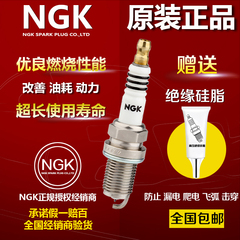 NGK福特致胜翼搏翼虎新蒙迪欧新福克斯锐界嘉年华福睿斯火花塞