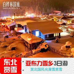 哈尔滨出发亚布力滑雪  雪乡 3天2晚赠送接机精品游东北旅游