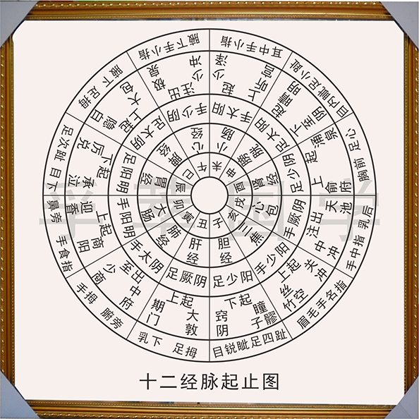 热卖现代装饰画易经周易十二经络起止相框中医现代装饰画