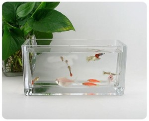 大中小号长方形透明玻璃鱼缸 乌龟缸金鱼缸 水培器皿 家居花瓶