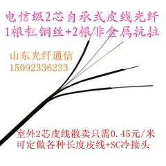 电信级FTTH光纤入户室外2芯自承式3根钢丝皮线光缆双芯皮线光缆