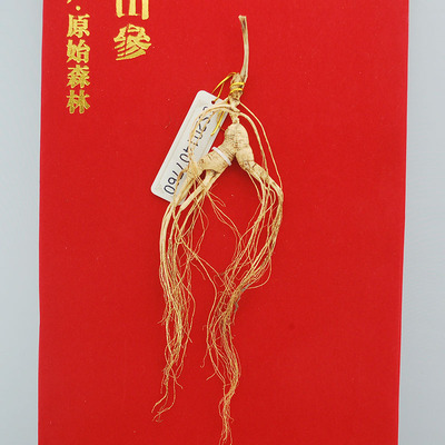 长白山野山参 40年左右 - 拍卖