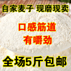 农家现磨高筋面粉 面包粉 麦心粉  披萨粉 烘培专用粉250克