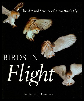 【预售】Birds in Flight: The Art and Science of How Birds