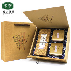 春节礼品 年货安溪铁观音新茶 清香型礼盒装256g 乌龙茶叶tgy君享