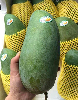 海南热带三亚特产水果现摘新鲜青芒果 大青芒 金煌芒5斤装包邮