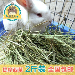 【全国包邮】2016年优质特级提摩西草 龙猫兔子豚鼠提草 1kg箱装