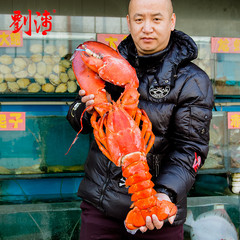 百年龙虾 加拿大海鲜龙虾10斤/只 冷冻水产熟冻美洲波士顿大龙虾