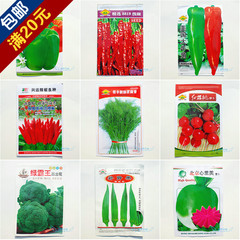 蔬菜草莓种子 向日葵种子 朝天椒 甜椒 萝卜 红苋菜 青菜 番茄