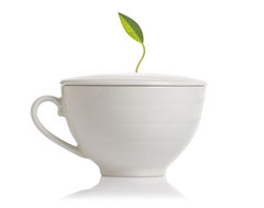 现货美国代购TEA FORTE骨瓷白色金字塔茶包专用茶杯咖啡杯 礼盒装