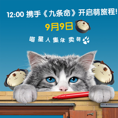 电影九条命的猫周边衍生品 12:00砂锅炖锅汤锅同款资源小咖联名款