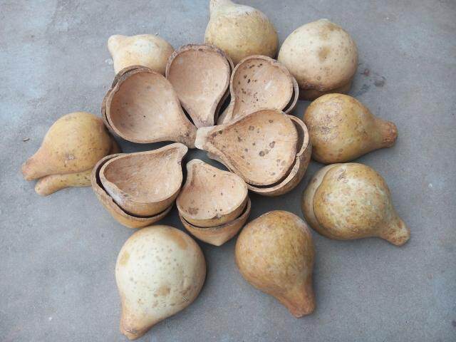 瓢子,葫芦瓢,收藏,舀水挖粮食做药引均可,淘米更干净