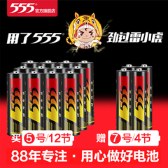 555电池5号碱性电池12粒 7号碱性4粒 共16粒 电动玩具鼠标专用