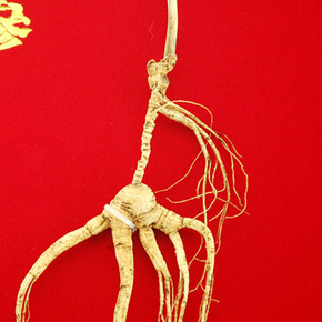 吉林融泽参茸拍卖会野山参专场_珍品拍卖 - 拍卖专场 - 阿里拍卖