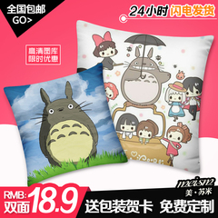 卡通动漫周边 宫崎骏龙猫抱枕 靠垫靠枕头 照片来图创意DIY定制做