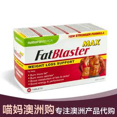 现货Fatblaster MAX加强版代食磁铁纤维片60片