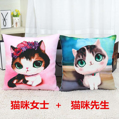 十字绣新款5D印花猫咪抱枕居家可爱创意卡通动漫儿童枕头套靠垫