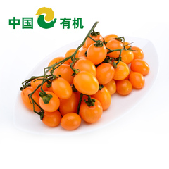顺意生 精品蔬菜 新鲜黄圣女果 黄番茄 小西红柿500g保鲜配送
