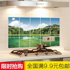 加大型厨房防油贴纸防油墙贴 多款可选 超大号韩版 60X90！