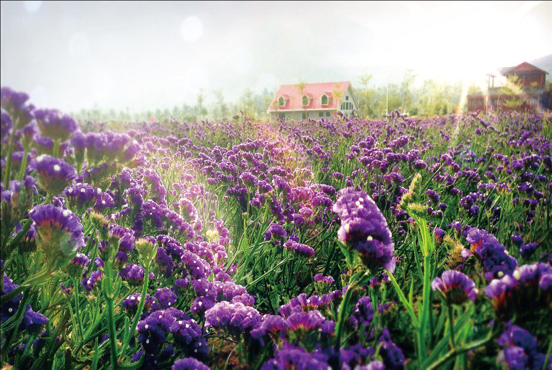 【艺臣】成人1000片木质拼图定制1500自然摄影唯美风景花海勿忘我