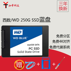 WD/西部数据 250G SSD蓝盘 笔记本台式机固态硬盘 WD蓝盘 非240G