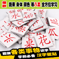 早教磁性识字卡片磁力汉字组词识字磁贴教学白板冰箱贴160个汉字 汉字磁贴