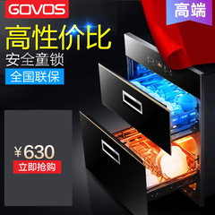 GOVOS 嵌入式消毒柜 家用 镶嵌式二星级双门碗柜厨房橱柜大容量