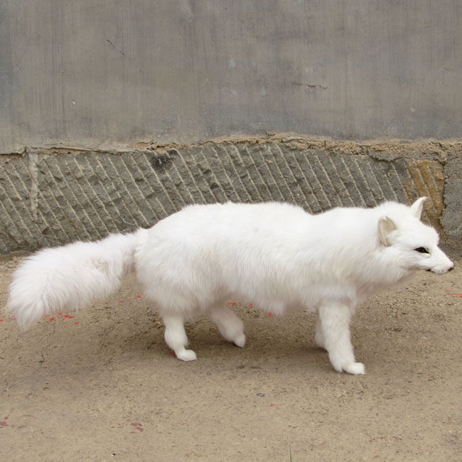 1.1米长大型仿真狐狸白狐狐仙真皮高仿真动物模型家居摆件