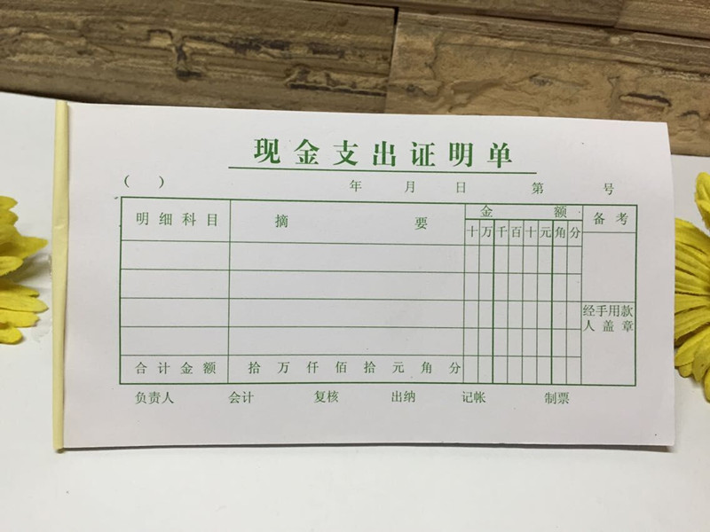 标准财务会计凭证绿色48k现金支出证明开单单据凭证