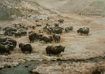 杭州美协 | 青年油画家:张海英 油画作品:《雪域牦牛之一》