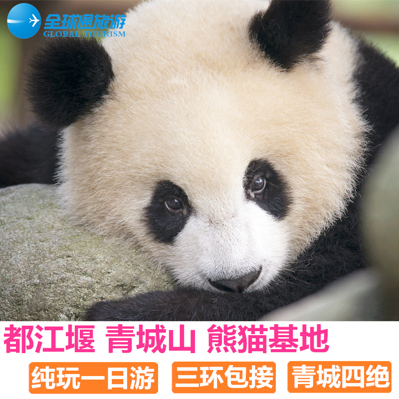 Dujiangyan Qingcheng Mountain one-day tour Dujiangyan Travel? Qingcheng Mountain Pure Play Sanxingdui panda Base Chengdu Januaryin the Holiday Line/Visas send off/Travel services , Visit/Tuanyou , Domestic travel with the group category - from Buy2taobao.com to provide professional Taobao agent buy service