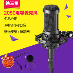 Audio Technica/铁三角 AT2050 电容麦克风专业录音K歌大合唱话筒