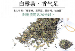 福鼎白茶高山白牡丹茶叶甘露茶 白露散茶500g