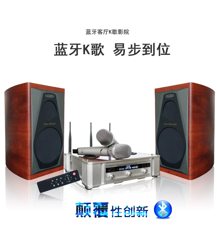 BDSPAA CS-2.0蓝牙HIFI级卡拉OK套装/家庭套装/蓝牙家庭SISO音响