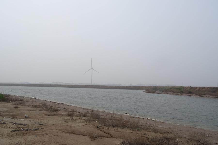 【变卖】李万刚所有的位于寿光市羊口镇小清河北岸的浅海滩涂开放式