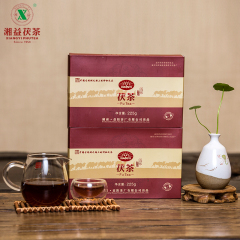 2012湖南安化黑茶特产 湘益币型茯茶225g 益阳茶厂世博名茶 包邮