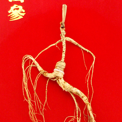 长白山臻品野山参4820 - 拍卖