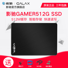 影驰 Gamer 512 Plus 固态硬盘GAMER 512G SSD/SSD/固态硬盘