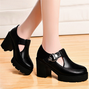 Coarse with thick shield Fox new 2015 winter shoes women shoes women's shoes platform heels in England at the end of the round head Chao