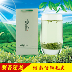 信阳毛尖2016年新茶叶250g茶场自产自销春茶 明前特级嫩芽绿茶