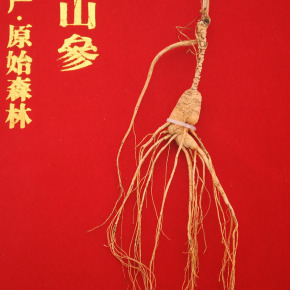 吉林融泽参茸拍卖会野山参专场_珍品拍卖 - 拍卖专场 - 阿里拍卖