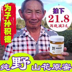 东北野山花蜜蜂蜜纯正天然农家自产500g百花蜜原蜜野生成熟土蜂蜜