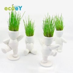 ECOEY 迷你盆栽微景观植物 DIY桌面小盆栽水培植物小花农迷你植物