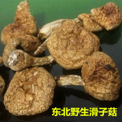 野生滑子菇干货东北特产滑子蘑滑菇珍珠菇食用菌干蘑菇250g无根