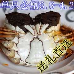 【清秋家的大闸蟹 10个年头 品质保证】单只公3.8-4.2